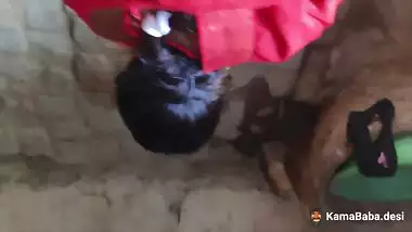 Cheating wife quickly sucks a dick and gets fuck